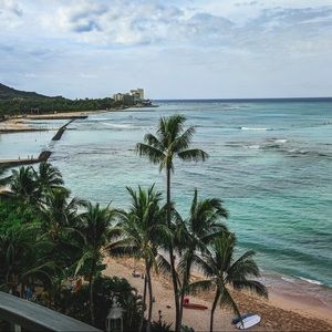 Meet your Posher, Forrest